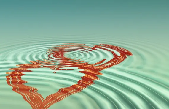 Casino Club World Stuðningur